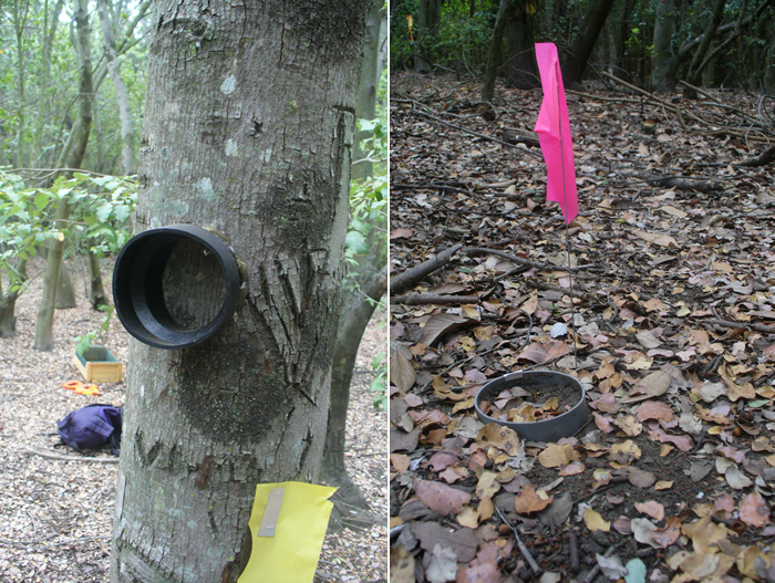 Rubber collar attached to the stem using silicone and PVC collar inserted to the soil